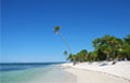 aruba express - copa