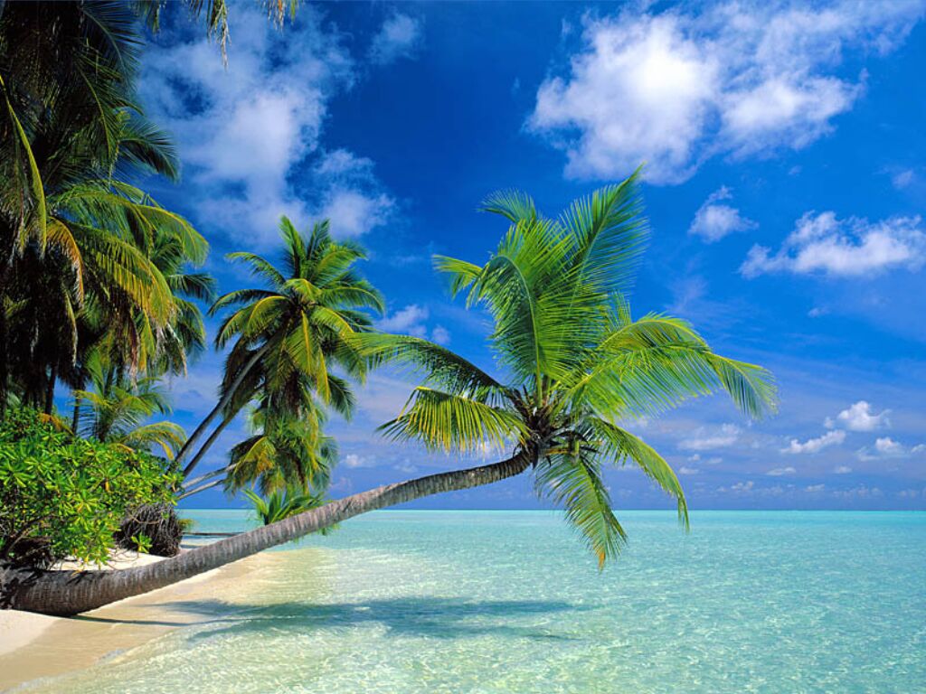 Aruba-Palm Beach