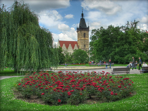 Viena